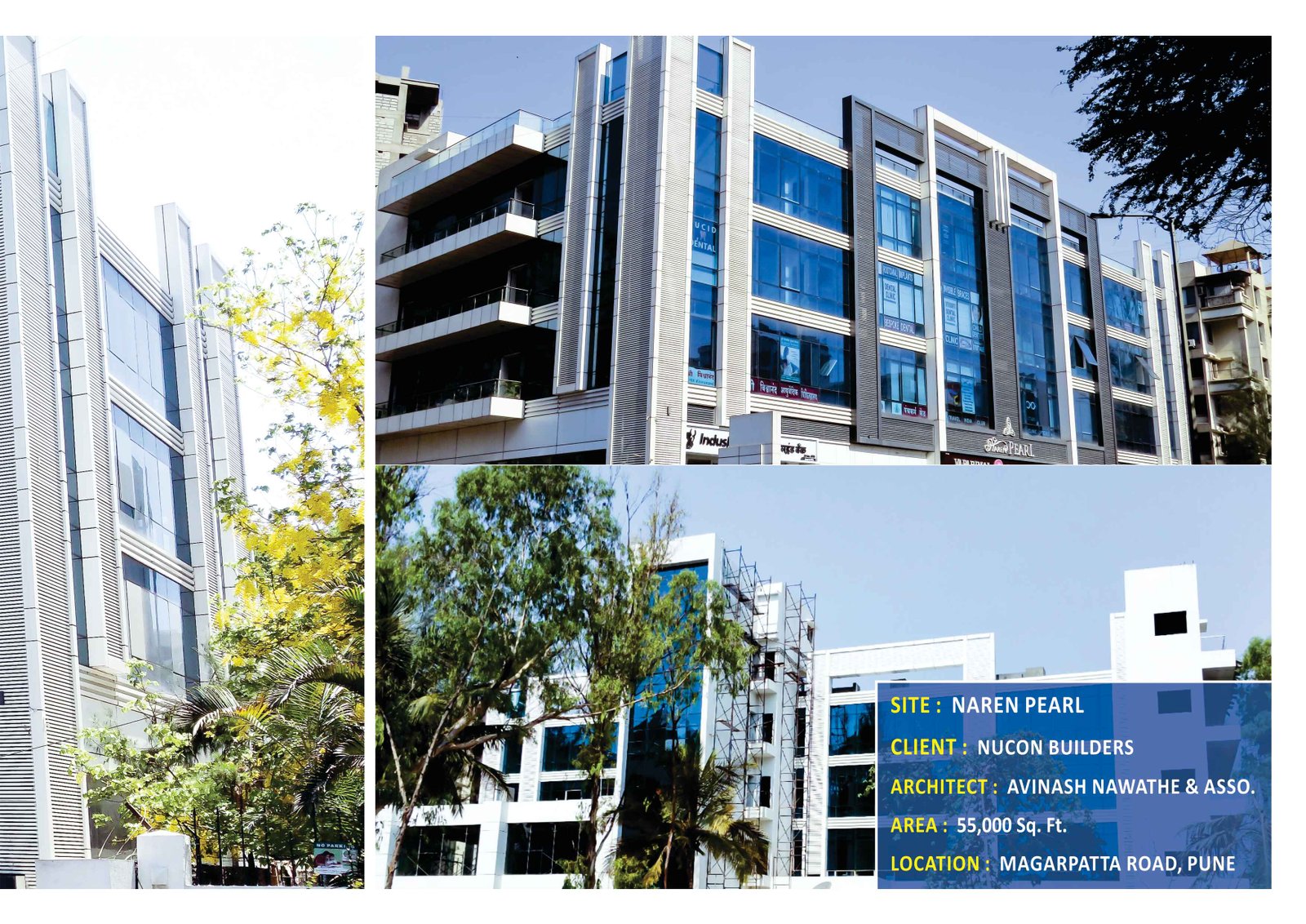 Portfolio Image 3